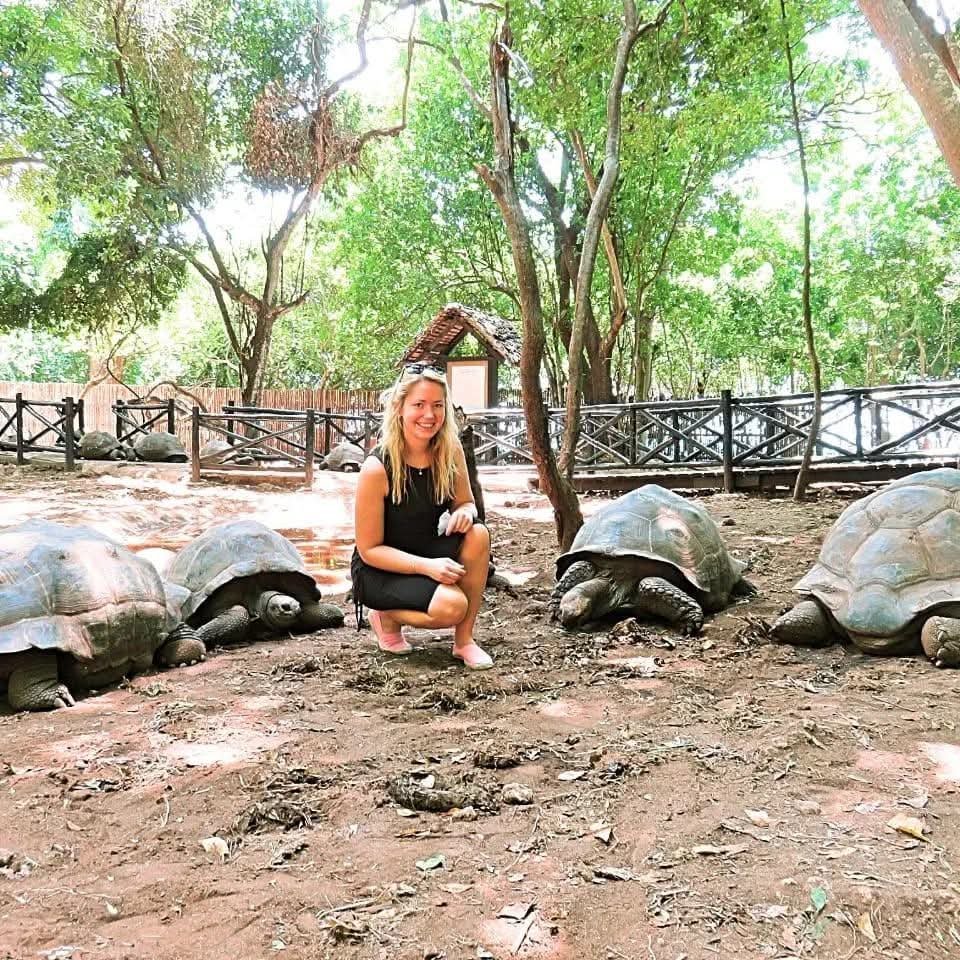 Prison Island 1